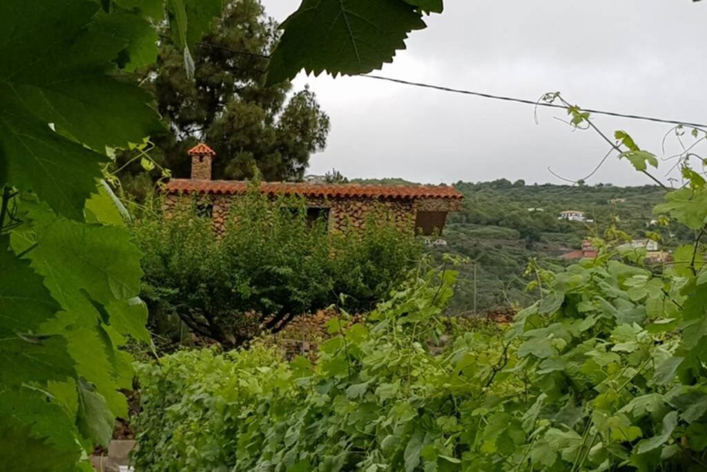 La Tagora Conect With The Nature & Relax Icod de los Vinos Kültér fotó